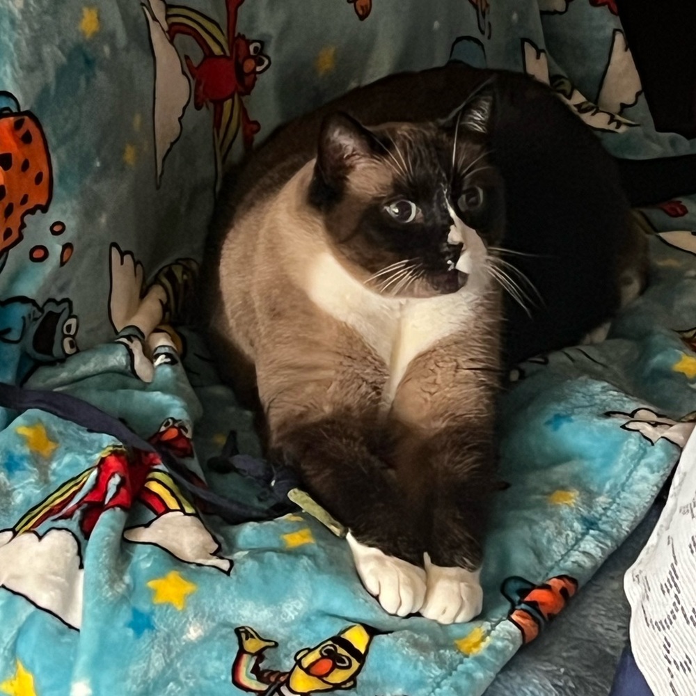 Meet your Posher, Ozzy